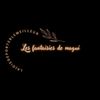 Les fantaisies de magui