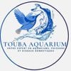 TOUBA AQUARIUM