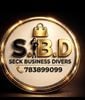 Seck business divers