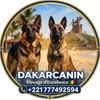 Dakarcanin