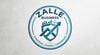 Zalle business