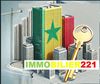 IMMOBILIER 221 Agence immobilière à Dakar