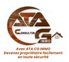 ATA CONSULTING GROUP