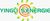 yingli s'energie