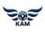 KALSANE AUTOMOBILE