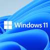 Windows 11 Pro Authentic thumb 2