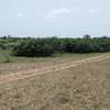 Hectare à vendre à Mboro thumb 5
