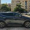 Hyundai Santafe thumb 4