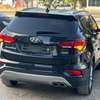 Hyundai SANTAFE EVGt thumb 10