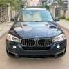 bmw x5 thumb 0