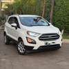 2019 FORD ESCOSPORT 2.0 4wd thumb 13
