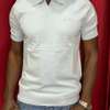 Polos Grandes Marques thumb 12