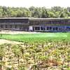 7,7 ha idéal pour projet immobilier à Tivaouane peulh thumb 2