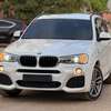 BMW X3  ANNÉE 2017 thumb 0