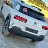 Citroen  C4 Cactus Modèle 2019 thumb 13