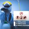Nettoyage canapés-Désinsectisation-Dératisation thumb 1