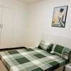 Appartement 2ch + salon meublé à louer au plateau thumb 9