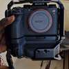 Sony α1 + Grip+ Rig thumb 2