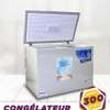 CONGELATEUR 300LITRES ROCH HORIZONTAL GRIS RCF300l thumb 0