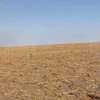 Terrain 300 m2 Malicounda Takhoum Extention thumb 1