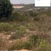 Coopérative D’habitat à 225m² PALLO thumb 0