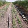 Parcelle de 18 hectares à vendre entre Thiès et Sindia thumb 5