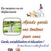 Garde/ pension chiens thumb 0