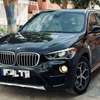 BMW X1 thumb 1