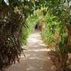 VILA 600M2 DOUBLE ANGLE NGAPAROU thumb 10