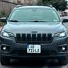 JEEP CHEROKEE 2020 thumb 0
