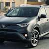 Toyota RAV 4 xle 2018 thumb 2