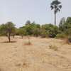 Verger 3ha à vendre à Ndianda Ngeuniène sur la route de joal thumb 6