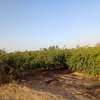 𝐕𝐞𝐫𝐠𝐞𝐫 𝐝𝐞 1 𝐡𝐞𝐜𝐭𝐚𝐫𝐞𝐬 6000m2 𝐞𝐧 𝐩𝐥𝐞𝐢𝐧𝐞 𝐩𝐫𝐨𝐝𝐮𝐜𝐭𝐢𝐨𝐧 thumb 11