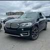 BMW X5 VENANT xdrive 30i thumb 1