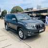 TOYOTA LAND CRUISER 2019 thumb 8