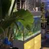 Superbe Aquarium de 280 Litres thumb 4