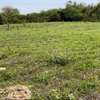 Terrain 1 hectare a sebiponty ndoyene thumb 4