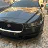 JAGUAR 2016 thumb 3