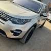 Land Rover Duscovery 2017 thumb 9