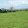 Terrain agricole de 500 m2 à Mboro thumb 5