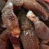 Seiche , calamar, crabe, pince crabe thumb 0