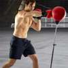 Punching-ball, pour adultes et adolescents thumb 10