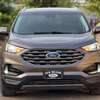 FORD EDGE TITANIUM 2019 thumb 0