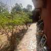 TERRAIN DE 18000M2 A NGERIGNE thumb 5