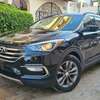 Hyundia Santafe thumb 1