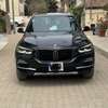 Bmw x5 2019 thumb 0