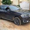 Bmw x5 thumb 2