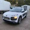 C4 Cactus thumb 9