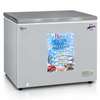 CONGILATEUR 400LITRES ROCH HORIZONTAL GRIS ROI ADDI thumb 4