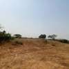 Terrains agricoles de plus de 50 hectares à vendre thumb 4